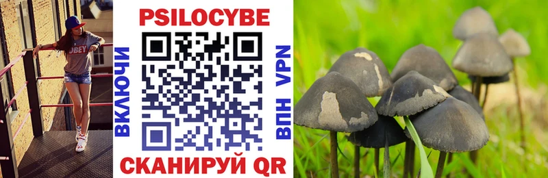 закладка  Ужур  Псилоцибиновые грибы MAGIC MUSHROOMS 