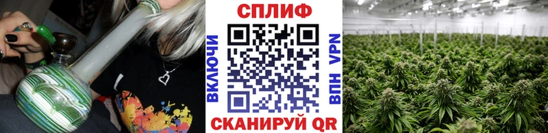 Каннабис SATIVA & INDICA  ссылка на мегу как войти  Ужур  где купить  